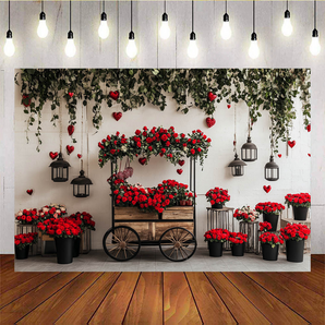 Mocsicka Valentine's Day Romantic Heart Backdrop B