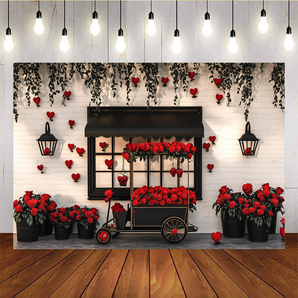 Mocsicka Valentine's Day Romantic Heart Backdrop C