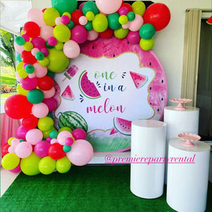 Mocsicka One In a Melon Birthday Party Round Backdrop Cover