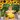 Mocsicka Sunflowers and Green Leaves Party Backgrounds-Mocsicka Party